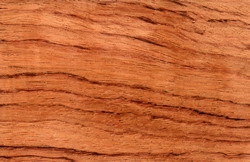 BUBINGA