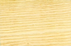 ESSEN